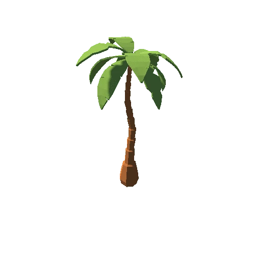 Coconut Tree_1